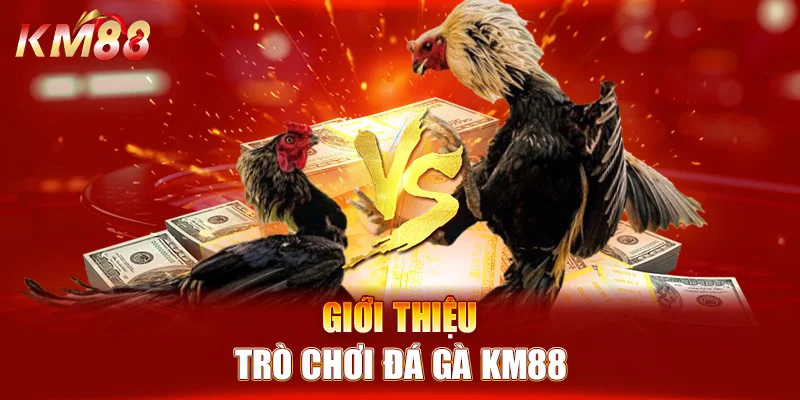 Giới thiệu trò chơi đá gà KM88