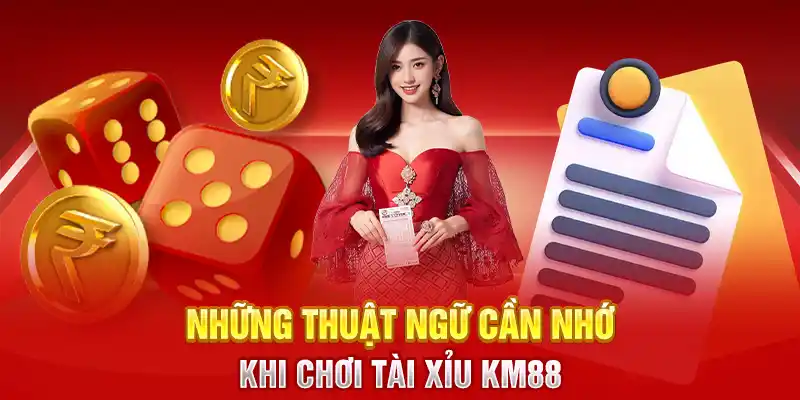 Những thuật ngữ cần nhớ khi chơi tài xỉu KM88